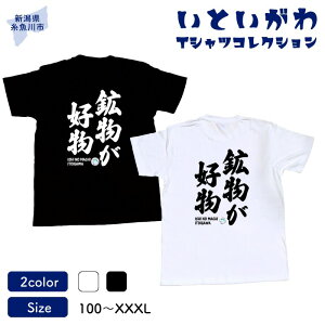 yӂ邳Ɣ[ŁznIWi TVcwTx-zD- ƂTVcRNV jp 100% Y fB[X LbY t@bV gbvX X|[cpi V 