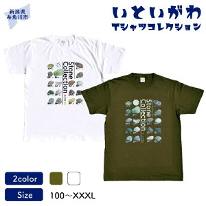 yӂ邳Ɣ[ŁznIWi TVcwTx-Stone Collection- ƂTVcRNV jp 100% Y fB[X LbY t@bV gbvX X|[cpi V 
