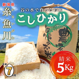 �y�ӂ邳�Ɣ[�Łz�Ă̗� ���\�� �R�V�q�J�� 5kg�s�ߘa7�N�Y�t �_�ƒ��� ������ �����Ђ��� 5kg �������� �_�Ǝ��� ���ٓ� ���� ���� ���ɂ��� 2025�N