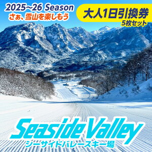 yӂ邳Ɣ[ŁzV[TCho[XL[ 1 5Zbg (l)ssityV s V[TCho[ XL[ Xm[{[h `Pbg tg z