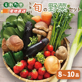 【ふるさと納税】旬の野菜セットを直売所からお届け! (8～10品詰め合わせ) 大根・白菜・春菊・アスパラ菜・しいたけ・ほうれん草・ふきのとう・タラの芽・山菜・にんじん・イチゴ・トマト・きゅうり・ピーマン・ジャガイモ・玉ねぎ・枝豆・生きくらげ・長ネギ・里芋 JA