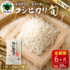 【ふるさと納税】米【定期便】令和7年産 新潟県 妙高産 斐太の里 コシヒカリ 「 旬 」 5kg ×6回 (計30kg) 【発送時期が選べる】 妙高市