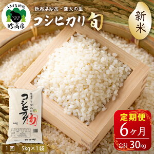 yӂ邳Ɣ[Łzāyցzߘa7NY V Y 㑾̗ RVqJ u { v 5kg ×6 (v30kg) yIׂz s
