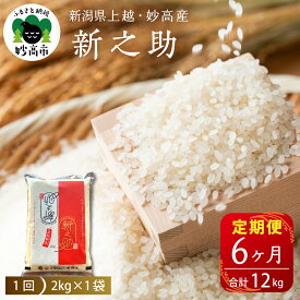【ふるさと納税】【定期便】令和7年産 新潟県 上越 ・ 妙高産 新之助 2kg × 6回 ( 計 12kg )【発送時期が選べる】 先行受付 2025年産 米 しんのすけ 2kg袋 6ヶ月 6ヵ月 ブランド米 白米 精米 お米 コメ 贈答 お取り寄せ 送料無料 妙高市 五つ星お米マイスター厳選