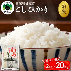 【ふるさと納税】高評価 令和7年産 米 新潟県 妙高産 こしひかり【出荷時期 / 内容量が選べる】選べる 2kg 5kg 10kg 20kg / 2025年 精米 コシヒカリ コメ こめ 米どころ ふっくら 美味しい 甘み と 香り 粘り 逸品 希少価値 ブランド米 送料無料 新潟県 妙高市
