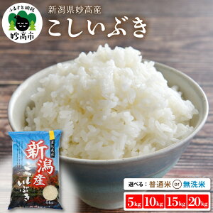 �y�ӂ邳�Ɣ[�Łz �� �ߘa7�N�Y �V�����Y �������Ԃ� �y�����������I�ׂ�z�i 5kg / 10kg / 15kg / 20kg �j�i ���ʕ� / ������ �j ���� ���� ���� 2025�N �������� ������ 5�L�� 10�L�� 15�L�� 20�L��