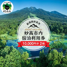 【ふるさと納税】新潟県妙高市内 宿泊利用券 10,000円分 2枚 旅行 券 妙高山 温泉 観光 お祝い 家族 友達 夫婦 カップル 自然