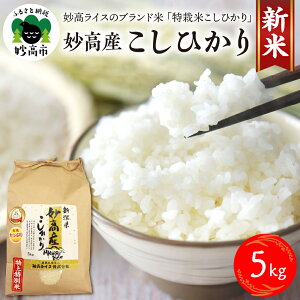 yӂ邳Ɣ[Łzߘa7NY Y Ђ ʍ͔| 5kg 9{菇\ RVqJ V     2025NY uh _ƒ Yn   O