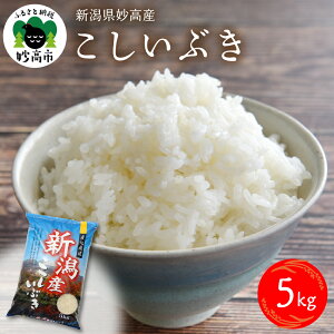 yӂ邳Ɣ[Łzߘa6NY V Y Ԃ 5kg     s