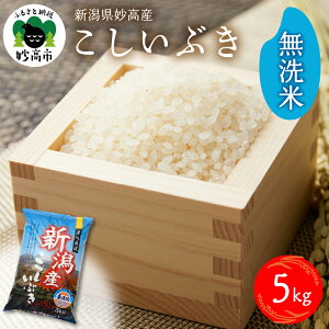 【ふるさと納税】【発送時期が選べる】 米 令和7年産 新潟県産 こしいぶき 5kg 無洗米 白米 精米 お米 2025年 送料無料 お取り寄せ 新潟県 妙高市