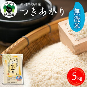 yӂ邳Ɣ[ŁzyIׂz ߘa7NY  5kg V Y      s