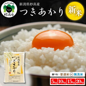 yӂ邳Ɣ[Łz  ߘa7NY yzIׂzi 5kg / 10kg / 15kg / 20kg ) ( ʕ /  )  VY    Y 5L 10L 15L 20L V Y  