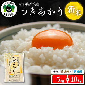 【ふるさと納税】 米 令和7年産 【配送時期が選べる】（ 5kg / 10kg ) ( 普通米 / 無洗米 ) つきあかり 新潟県産 お米 白米 ご飯 国産 新潟県 妙高産 精米 お取り寄せ 送料無料 妙高市