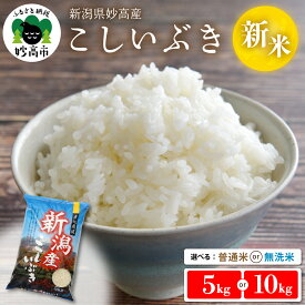 【ふるさと納税】 米 令和7年産 新潟県産 こしいぶき 【発送時期が選べる】（5kg / 10kg ）（普通米 / 無洗米 ） 白米 精米 お米 2025年 送料無料 お取り寄せ 5キロ 10キロ 新潟県 妙高市