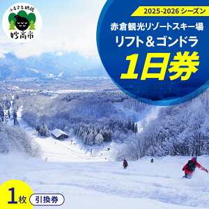 yӂ邳Ɣ[Łzԑqό][g (2025-2026V[Y) XL[ tg Sh 1 1 ԑqό  ][g rbN Qf ۃXL[ w S ㋉ y߂ ʂ 