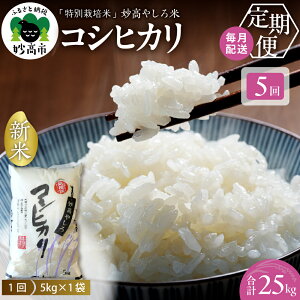 �y�ӂ邳�Ɣ[�Łz �ߘa7�N�Y �� ����ցy5�����z �V���� �R�V�q�J�� 25kg ( 5kg × 5�� ) �����₵��� ����� ���� �� �R�� ���� �Ăǂ��� ���� ���� ���͂� ���C�X �ٓ� 2025�N�Y �V���� �����s