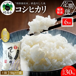 yӂ邳Ɣ[Łz  yIׂ u 4 / 6zߘa7NY RVqJ ₵ 20kg 30kg ( 5kg ×4 / 6 ) V ʍ͔|āy11{蔭zs\  u  R 