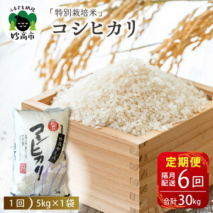 yӂ邳Ɣ[Łzys\z ߘa7NY yցFu6zV ₵ RVqJ 30kg ( 5kg × 6 ) y11{蔭z  u   R  V s Ăǂ 