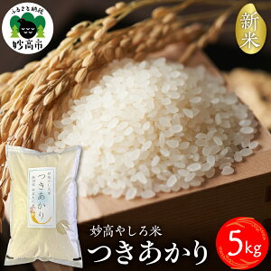 yӂ邳Ɣ[Łzߘa7NY V  5kg V ₵ /   R   Ăǂ   ͂ CX ٓ ɂ V sy10{蔭z