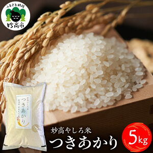 �y�ӂ邳�Ɣ[�Łz�ߘa7�N�Y �� �������� 5kg �V���� �����₵��� / ���� �� �R�� ���� ���� �Ăǂ��� ���� ���� ���͂� ���C�X �ٓ� ���ɂ��� �V�� �����s�y10�����{��蔭���z