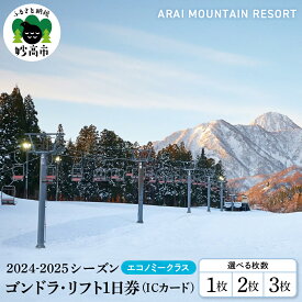 【ふるさと納税】アライマウンテンリゾート 2024-2025シーズン ゴンドラ・リフト1日券 (ICカード) エコノミークラス 選べる枚数 1枚 2枚 3枚 スキー スノーボード スノボ 冬 ウインター スポーツ スキー場 ゲレンデ コース チケット リゾート 大毛無山 新潟県 妙高市