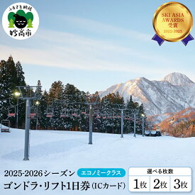 【ふるさと納税】アライマウンテンリゾート 2025-2026シーズン ゴンドラ・リフト1日券 (ICカード) エコノミークラス 選べる枚数 1枚 2枚 3枚 スキー スノーボード スノボ 冬 ウインター スポーツ スキー場 ゲレンデ コース チケット リゾート 大毛無山 新潟県 妙高市