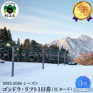 【ふるさと納税】アライマウンテンリゾート 2025-2026シーズン ゴンドラ・リフト1日券 (ICカード) エコノミークラス 選べる枚数 1枚 2枚 3枚 スキー スノーボード スノボ 冬 ウインター スポーツ