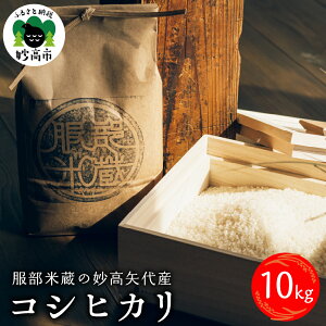 yӂ邳Ɣ[ŁzV ߘa7NY RVqJ V( Iׂe : 5kg / 10kg Iׂ : 1 / 3 / 6 ) đ  Yy10{蔭zs\     u