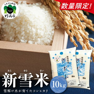 yӂ邳Ɣ[Łzߘa7NY  V ( 䂫܂ ) ʂIׂ 5kg 10kg RVqJ V z  2025NY      V s