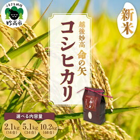 【ふるさと納税】【 先行予約 】令和7年産 命の矢 コシヒカリ 選べる内容量 2.1kg 5.1kg 10.2kg 越後 妙高/ 新潟県 上越 妙高産 米どころ 白米 精米 コメ お米 こめ ご飯 ごはん ライス 弁当 小分け 大容量 お取り寄せ 送料無料 妙高市