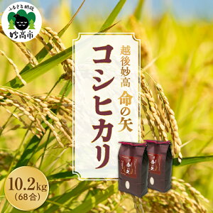 �y�ӂ邳�Ɣ[�Łz���P�ʂ�����]��Ȃ� �ߘa7�N�Y �R�V�q�J�� ���̖� �I�ׂ���e�� 2.1kg 5.1kg 10.2kg �V�� ��z �����Y 2kg 5kg 10kg �� �󏭕i�� ���� ���� �R�� ���� ���� ���� ���͂� ���C�X �ٓ� 