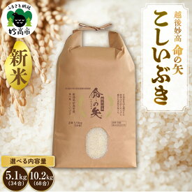 【ふるさと納税】【先行予約】令和8年産 米 越後妙高命の矢 こしいぶき 選べる内容量 5.1kg 10.2kg 越後 妙高 新潟県 上越 妙高産 米どころ 白米 精米 コメ お米 こめ ご飯 ごはん ライス 弁当 小分け 大容量 お取り寄せ 送料無料 妙高市