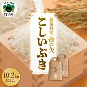 �y�ӂ邳�Ɣ[�Łz�ߘa7�N�Y �z�㖭�����̖� �������Ԃ� �I�ׂ���e�� 5.1kg 10.2kg �z�� ���� �V���� ��z �����Y �Ăǂ��� ���� ���� �R�� ���� ���� ���� ���͂� ���C�X �ٓ� ������ ��e�� ��