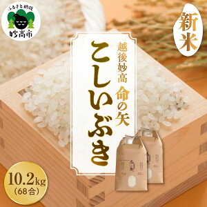 yӂ邳Ɣ[Łzߘa7NY z㖭̖ Ԃ Iׂe 5.1kg 10.2kg z  V z Y Ăǂ   R    ͂ CX ٓ  e 
