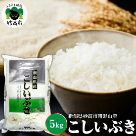 【ふるさと納税】令和7年産 米 こしいぶき 5kg 新潟県産 / 米 白米 精米 お米 ごはん ライス 弁当 新潟県 妙高市 猪野山産