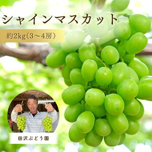 yӂ邳Ɣ[Łz嗱 VC}XJbg  2kgi3~4[jlC  Mtg  ~ A { ʕ t[c cԂǂ V ܐs Ԃǂ i2025N9ȍ~j