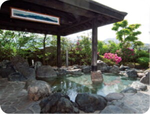 yӂ邳Ɣ[Łz ǉ ى񐔌 ( 12Ԃ ) | A艷  {ݗp ̓ ̓ hV̓ v[g Mtg V ܐs ǉ^cO[v