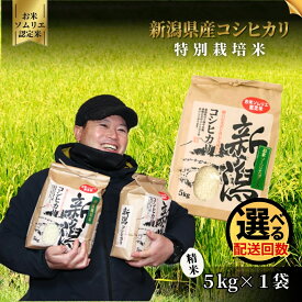 【ふるさと納税】【先行予約】令和8年産 米 5kg 五泉市産 コシヒカリ 特別栽培米 お米ソムリエのお米 | 白米 精米 こしひかり おこめ コメ こめ 新潟県 五泉市 エバーグリーン農場