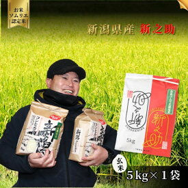 【ふるさと納税】令和7年産【お米ソムリエのお米】新之助 玄米 5kg（5kg×1袋）新潟県 五泉市 エバーグリーン農場