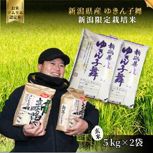 yӂ邳Ɣ[Łzߘa7NYāyă\Ĝāz䂫q  5kg or 10kgi5kg܁jܐslY   V ܐs Go[O[_