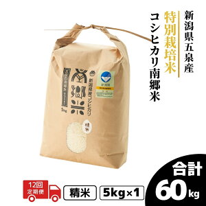 yӂ邳Ɣ[Łz ߘa7NY V  5kg ܐY RVqJ 싽 ʍ͔| Iׂ |   Ђ   R  V ܐs t@[݂Ȃ݂̋