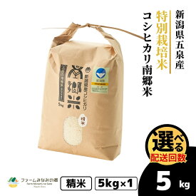 【ふるさと納税】 令和7年産 米 5kg 五泉産 コシヒカリ 南郷米 特別栽培米 選べる回数 | 白米 精米 こしひかり お米 おこめ コメ こめ 新潟県 五泉市 ファームみなみの郷