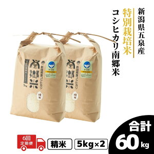 �y�ӂ邳�Ɣ[�Łz �ߘa7�N�Y �V�� �� 10kg ( 5kg × 2�� ) �ܐ�Y �R�V�q�J�� �싽�� ���ʍ͔|�� �I�ׂ�� | ���� ���� �����Ђ��� ���� ������ �R�� ���� �V���� �ܐ�s �t�@�[���݂Ȃ݂̋�