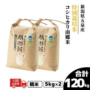 yӂ邳Ɣ[Łz ߘa7NY V  10kg ( 5kg × 2 ) ܐY RVqJ 싽 ʍ͔| Iׂ |   Ђ   R  V ܐs t@[݂Ȃ݂̋