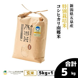 yӂ邳Ɣ[Łz ߘa7NY V  5kg ܐY RVqJ 싽 ʍ͔| Iׂ | ܂ Ђ   R  V ܐs t@[݂Ȃ݂̋