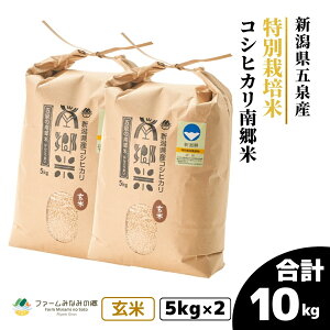 yӂ邳Ɣ[Łz ߘa7NY V  10kg ( 5kg × 2 ) ܐY RVqJ 싽 ʍ͔| Iׂ | ܂ Ђ   R  V ܐs t@[݂Ȃ݂̋