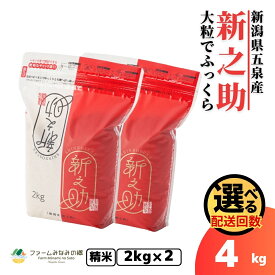 【ふるさと納税】 令和7年産 米 4kg ( 2kg × 2袋 ) 五泉産 新之助 選べる回数 | 白米 精米 しんのすけ お米 おこめ コメ こめ 新潟県 五泉市 有限会社ファームみなみの郷