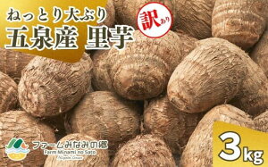 【ふるさと納税】令和7年産【訳あり】五泉産 大玉さといも(2L以上)3kg or 5kg 新潟県 五泉市 ファームみなみの郷