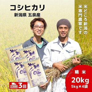 yӂ邳Ɣ[Łz ߘa7NY V  20kg ( 5kg × 4 ) ܐY RVqJ Iׂ |   Ђ   R  V ܐs 킭킭_