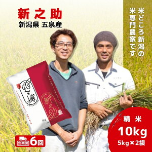 yӂ邳Ɣ[Łz ߘa7NY V  10kg ( 5kg × 2 ) ܐY VV Iׂ |   ̂   R  V ܐs 킭킭_